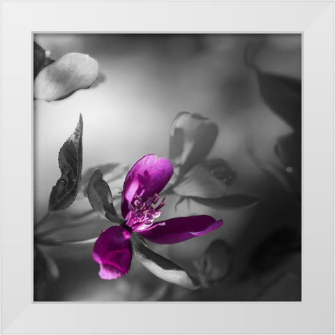Purple Rain White Modern Wood Framed Art Print by Phillip, Jamie