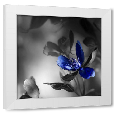 Blues White Modern Wood Framed Art Print by Phillip, Jamie