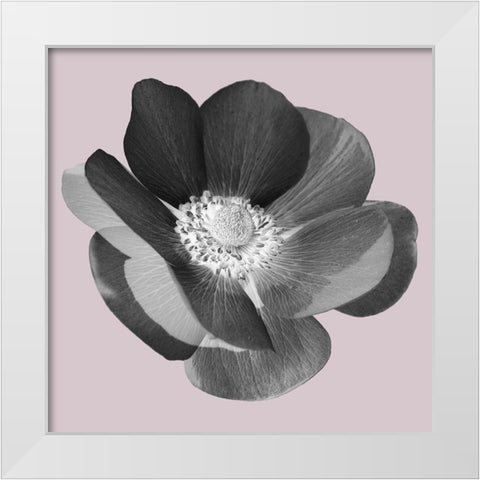 My Heart White Modern Wood Framed Art Print by Phillip, Jamie