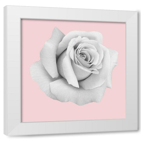 Rose Gold White Modern Wood Framed Art Print by Phillip, Jamie