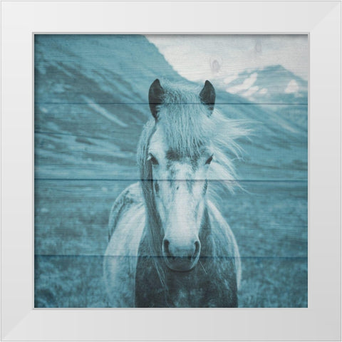 Roseta On The Farm White Modern Wood Framed Art Print by Phillip, Jamie
