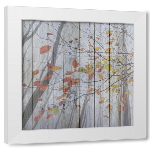 Fall Leaves White Modern Wood Framed Art Print by Phillip, Jamie