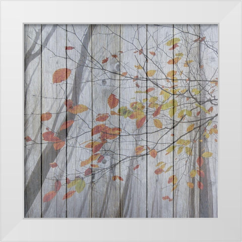Fall Leaves White Modern Wood Framed Art Print by Phillip, Jamie