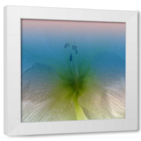 Xray White Modern Wood Framed Art Print by Phillip, Jamie