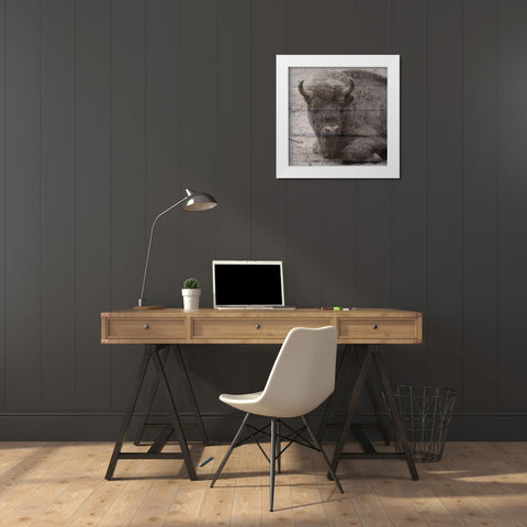 Buffalo Baby 3 White Modern Wood Framed Art Print by Phillip, Jamie