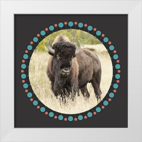Buffalo Ring 1 White Modern Wood Framed Art Print by Phillip, Jamie