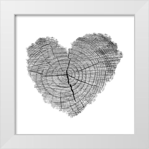 Love Stump 1 White Modern Wood Framed Art Print by Phillip, Jamie