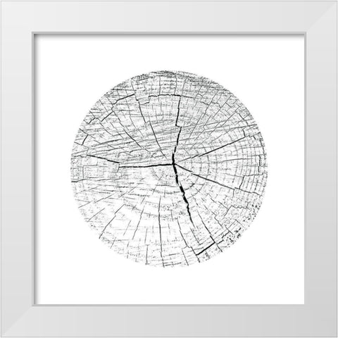 Love Stump 3 White Modern Wood Framed Art Print by Phillip, Jamie