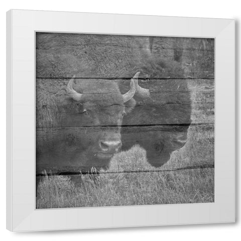 Bison White Modern Wood Framed Art Print by Phillip, Jamie