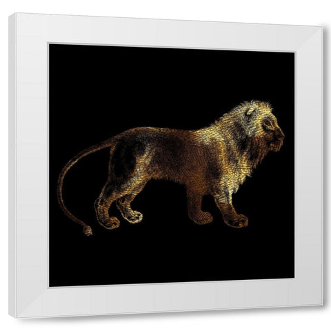Lion White Modern Wood Framed Art Print by Phillip, Jamie
