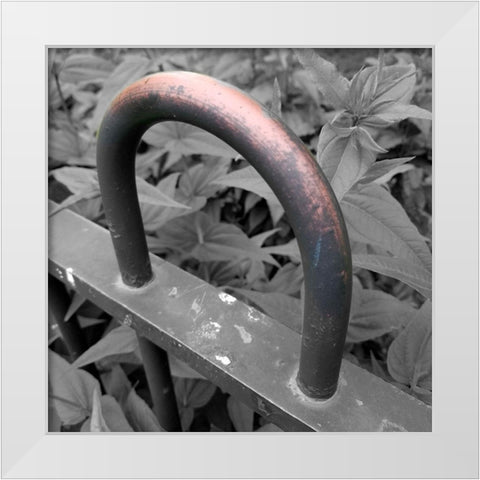 Brass 2 White Modern Wood Framed Art Print by Phillip, Jamie