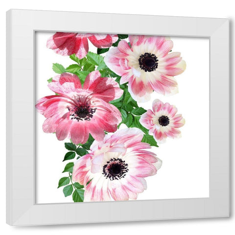 Rose Garden 2 White Modern Wood Framed Art Print by Phillip, Jamie