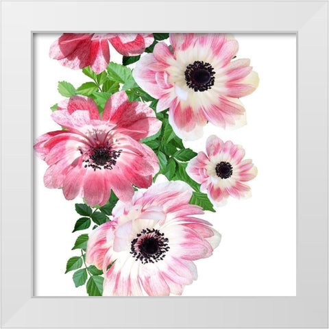Rose Garden 2 White Modern Wood Framed Art Print by Phillip, Jamie