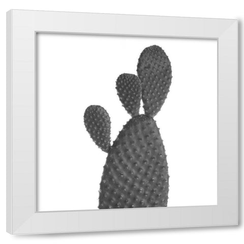 Black Cactus White Modern Wood Framed Art Print by Phillip, Jamie