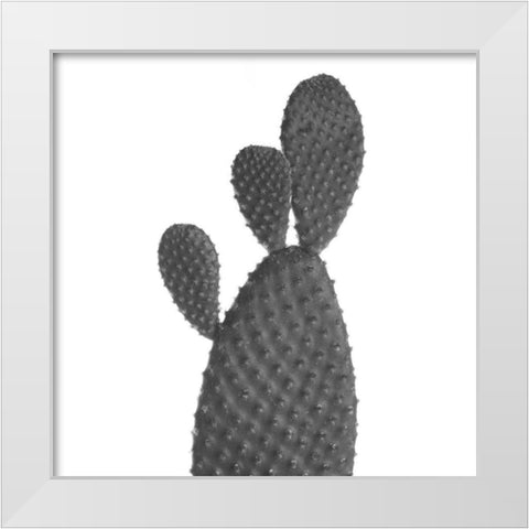 Black Cactus White Modern Wood Framed Art Print by Phillip, Jamie