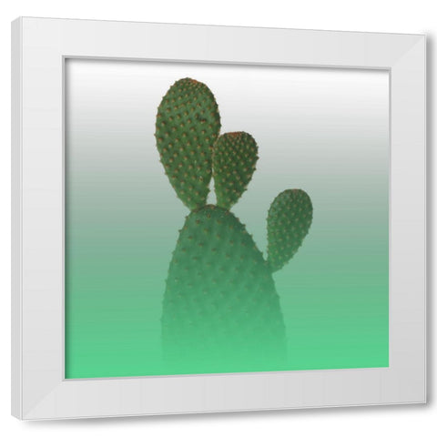 Green Cactus White Modern Wood Framed Art Print by Phillip, Jamie