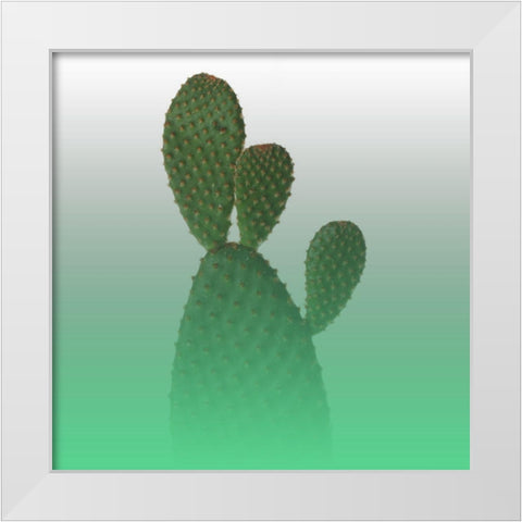 Green Cactus White Modern Wood Framed Art Print by Phillip, Jamie