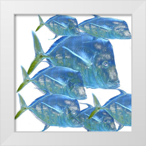 Fishes White Modern Wood Framed Art Print by Phillip, Jamie