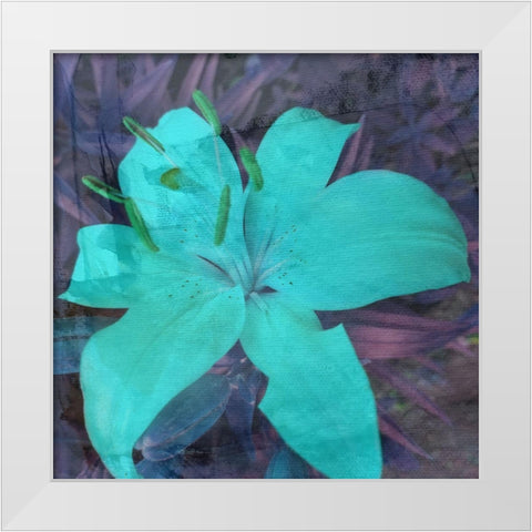 Love in The Garden 2 White Modern Wood Framed Art Print by Phillip, Jamie