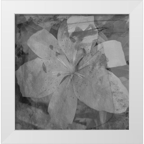 Love in The Garden 3 White Modern Wood Framed Art Print by Phillip, Jamie