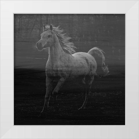 Misty Horse White Modern Wood Framed Art Print by