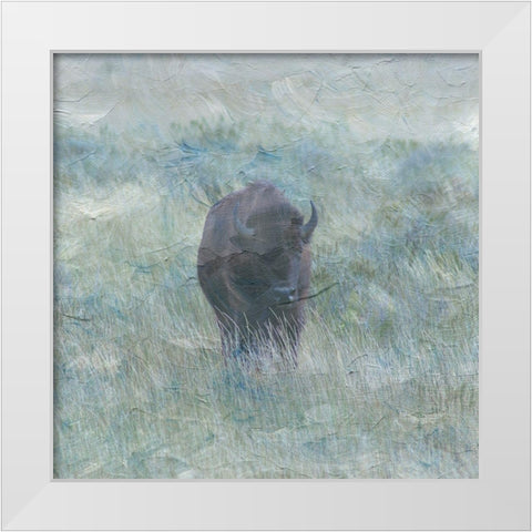 Bison White Modern Wood Framed Art Print by Phillip, Jamie