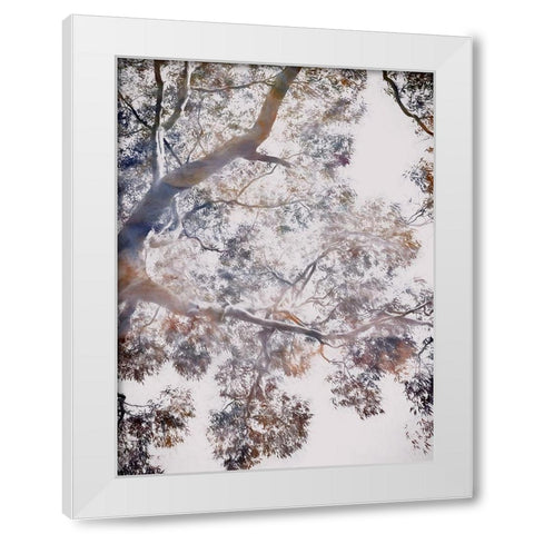 Whispering Jack II White Modern Wood Framed Art Print by Urban Road