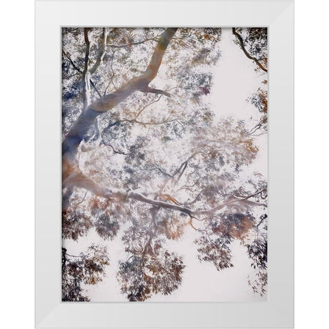 Whispering Jack II White Modern Wood Framed Art Print by Urban Road