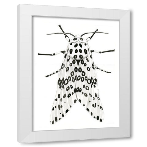 Gaston White Modern Wood Framed Art Print by Urban Road