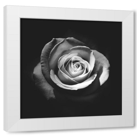 At Last Poster White Modern Wood Framed Art Print by Urban Road