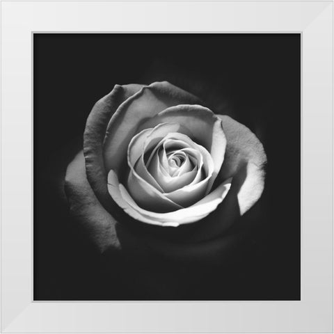 At Last Poster White Modern Wood Framed Art Print by Urban Road