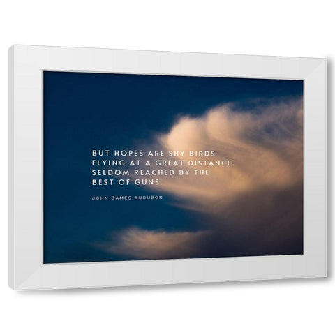 John James Audubon Quote: Shy Birds Flying White Modern Wood Framed Art Print by ArtsyQuotes