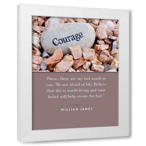 William James Quote: Not Afraid of Life White Modern Wood Framed Art Print by ArtsyQuotes