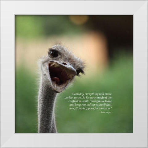 John Mayer Quote: Perfect Sense White Modern Wood Framed Art Print by ArtsyQuotes