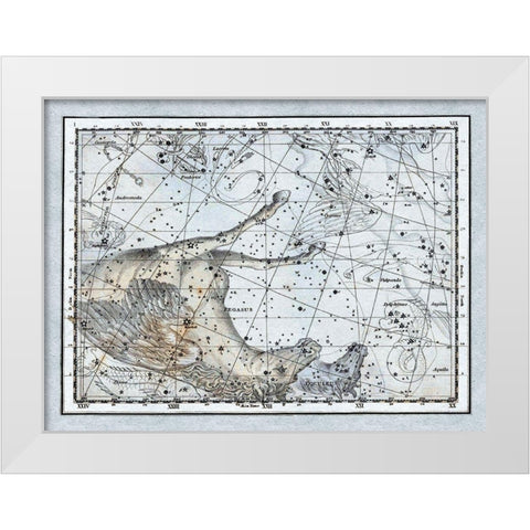 Maps of the Heavens: Pegasus the Horse White Modern Wood Framed Art Print by Jamieson, Alexander