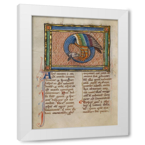 A Dragon-like Snake White Modern Wood Framed Art Print by Franco-Flemish 13th Century