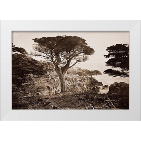 Cypress Point, Monterey, California, about 1880s White Modern Wood Framed Art Print by Watkins, Carleton