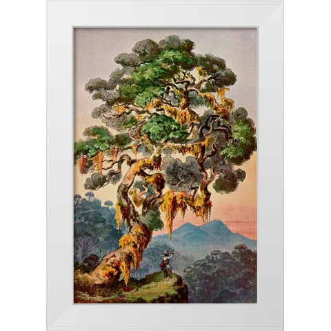 Der Vulkan Merapi auf Sumatra Hochland von Padang White Modern Wood Framed Art Print by Haeckel, Ernst