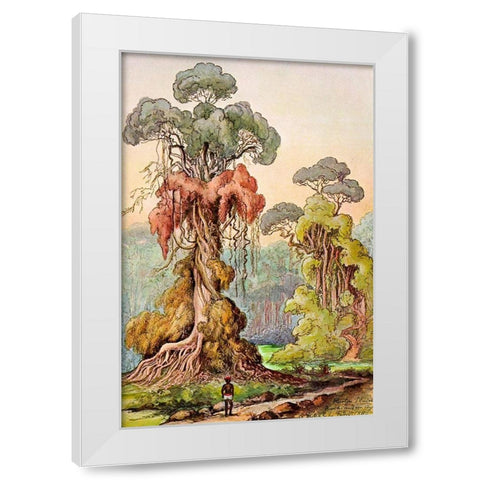 Lianen-Mantel an Saulenbaumen Hochland von Ceylon White Modern Wood Framed Art Print by Haeckel, Ernst