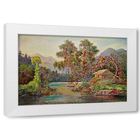 Aralien mit Lianen am Schwarzen Flusse (Ceylon) White Modern Wood Framed Art Print by Haeckel, Ernst