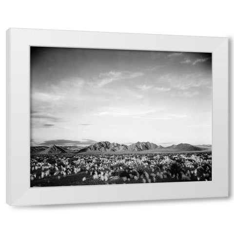 Distant mountains: desert and shrubs in foreground near Death Valley National Monument, California - White Modern Wood Framed Art Print by Adams, Ansel