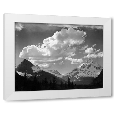 Trees in Glacier National Park, Montana - National Parks and Monuments, 1941 White Modern Wood Framed Art Print by Adams, Ansel