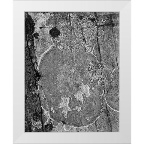 Lichons, Glacier National Park, Montana - National Parks and Monuments, 1941 White Modern Wood Framed Art Print by Adams, Ansel