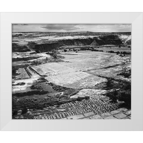 Corn Field, Indian Farm near Tuba City, Arizona, in Rain, 1941 White Modern Wood Framed Art Print by Adams, Ansel