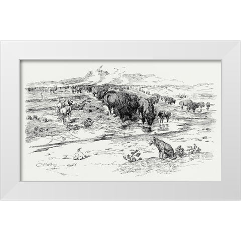 Natures Cattle, 1899 White Modern Wood Framed Art Print by Russell, Charles Marion