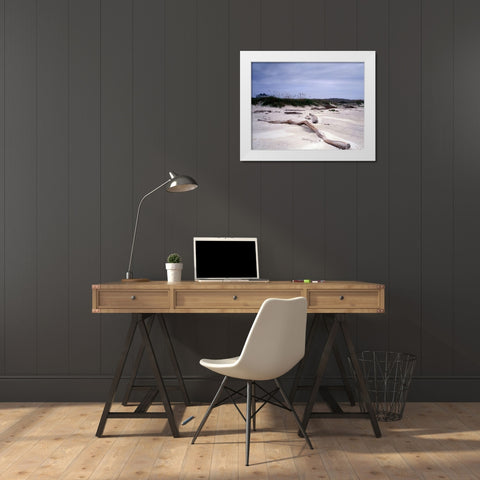 Driftwood on beach at Padre Island, TX White Modern Wood Framed Art Print by Highmith, Carol