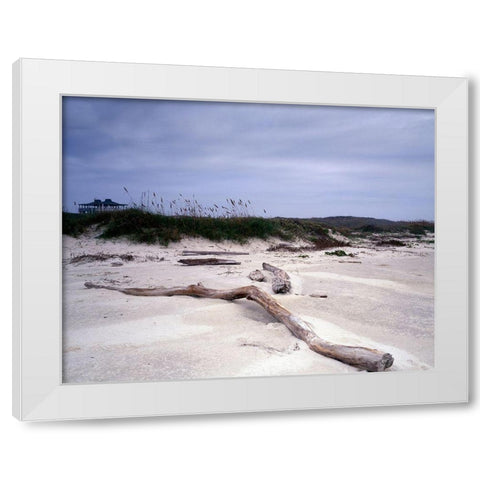Driftwood on beach at Padre Island, TX White Modern Wood Framed Art Print by Highmith, Carol