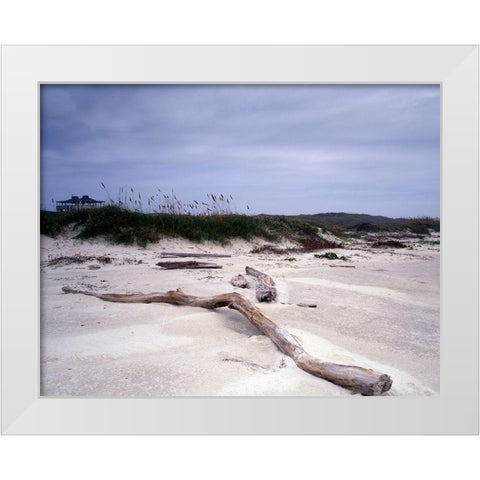 Driftwood on beach at Padre Island, TX White Modern Wood Framed Art Print by Highmith, Carol