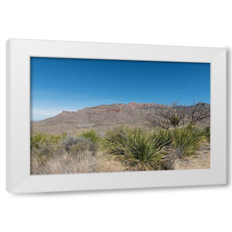 Scenery in Big Bend National Park, TX White Modern Wood Framed Art Print by Highmith, Carol
