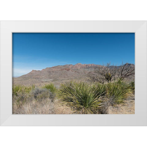 Scenery in Big Bend National Park, TX White Modern Wood Framed Art Print by Highmith, Carol